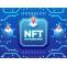        NFT Development Company