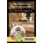 Spa and Hot Tub Repairs in Escondido Dan&#039;s Spa and Pool Repairs, Inc. is specialized in repairing... - JustPaste.it
