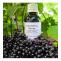 Elderberry Syrup Vs Capsules: Which One Is Better?