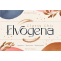 Elvogena Font Free Download Similar | FreeFontify