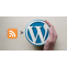 Embed RSS Widget On WordPress