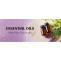Wholesale Essential Oils Supplier and Manufacturer