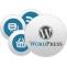 wordpress jobs