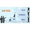 SAP FICO Training Institute in Gurgaon