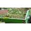 Garden Clearance Croydon: What is green waste and how to get rid of it?