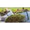 Garden clearance Merton: Professional and affordable garden waste