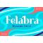 Felabra Font Free Download Similar | FreeFontify