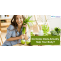 Detox Diets