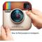How to Find People on Instagram - Instagram Search People