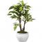 Purchase artificial plants at Wooden Street