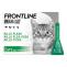 Buy Frontline Plus for Cat & Kitten (Green) at Best Price