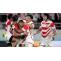 Fumiaki Tanaka expects that Japan should hit excellent settings for France Rugby World Cup &#8211; Rugby World Cup Tickets | Olympics Tickets | Paris 2024 Tickets | Asia Cup Tickets | Cricket World Cup Tickets