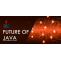 Java Developer future