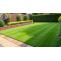 Professional garden clearance services