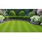Comprehensive Garden Clearance Solutions