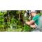 Garden Clearance Merton: Is a Landlord or Tenant Responsibility?