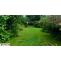 Keeping your garden in good shape with a Garden Clearance