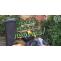 Garden Clearance | Garden Clearance near me