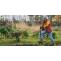 Efficient Garden Clearance Companies in Croydon Provide the best