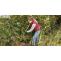 The Hidden Dangers of DIY Garden Clearance in Merton: Leave It