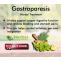 Herbal Care Products | Natural Herbal Remedies Information : Natural Remedies for Gastroparesis Including Diet Tips to Manage It