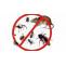 Effective Steps to Get Rid of Crickets: Protect Your Home