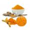 USDA Approved Bulk Organic Turmeric Powder Supplier in USA