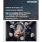 Biometrics in Government Market Size, Growth & Trends Report | 2032