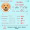 Know Your Breed: Golden Retriever - Vetco Store