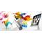 Guide to Learning Graphics Designing- George Animatrix - Latest Animation, VFX, Graphics &amp; Web Design Industry News