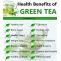 Drink Green Tea & Lose Weight Naturally