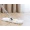 Best Carpet Cleaning Services In Stayton, OR