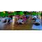 Hatha Yoga Teacher Training RYS 200 - Chandra Yoga International