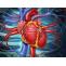 Heart Surgery in India | Healing Touristry