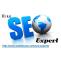 SEO Experts India: Hire Dedicated and Professional SEO Experts