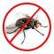 Flies Control Services in Chandigarh, Panchkula, Mohali, Zirakpur, Patiala, Ludhiana | 9888995920