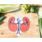 Most 12 Deadly Symptoms Of Kidney Diseases You Shouldnt Ignore - Herbal Care Products - Blog