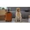 Tips on How to Travel with Your Labrador Retriever - Love Lab World