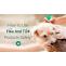 How to Use Flea and Tick Products Safely?