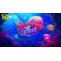 Hướng dẫn cách chơi Jellyfish Flow Slot Game tại V9BET