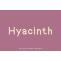 Hyacinth Font Free Download OTF TTF | DLFreeFont