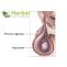 Hydrocele Symptoms, Causes, Diagnosed And Treatment - Herbal Care Products