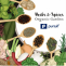 Where is the best place to buy herbs and organic spices online?