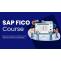 What Can You Do with SAP FICO Training?