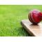 ICA Starts Fundraising To Help Out Needy Cricketers