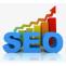 SEO Agency USA - Exaalgia Infosphere