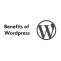 10 Benefits of Utilizing WordPress for Building Business Websites &#8211; SoloStream HelpDesk