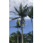 Expert Tree Removal, Stump Grinding &amp; Arborist Services | Noosa &amp; Sunshine Coast