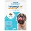 Buy Interceptor Spectrum Tasty Chews For Large Dogs 22 To 45Kg (Blue) 3 Chews Online | Pet Supplies