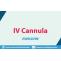 top IV Cannula manufacturers in India | Eversure